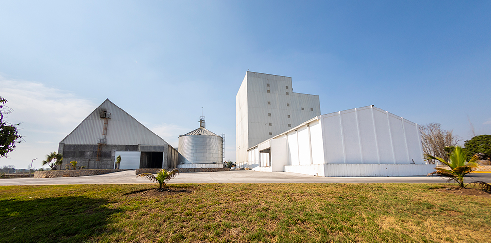 Dos modernas plantas en Paso del Macho: la incubadora Paso Grande y la planta de alimentos Actopan en 2021