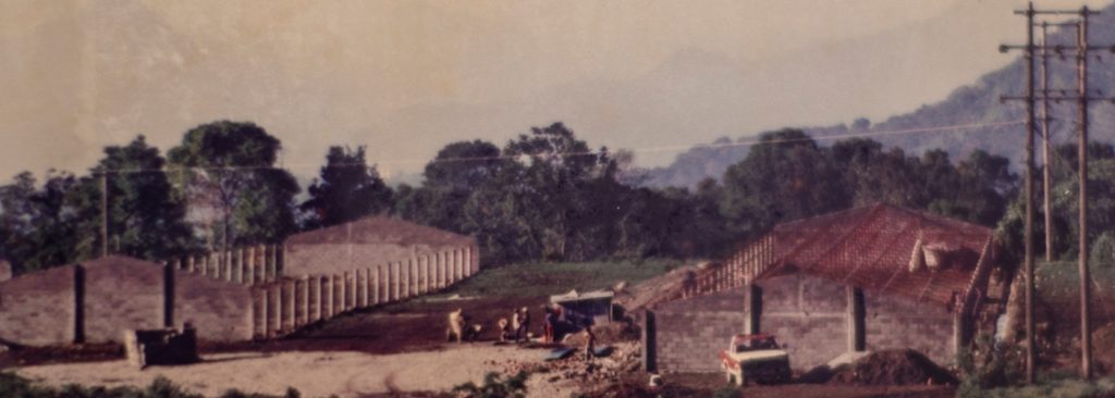 Grupo Neria: De un sueño familiar a pilar del desarrollo de Veracruz