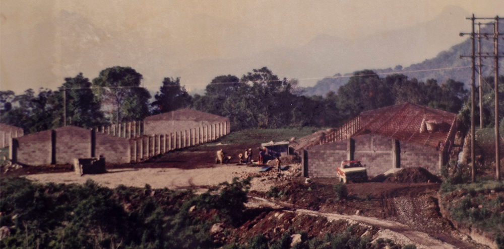 "La Parcela", nuestra primera Granja de Reproductoras en 1989