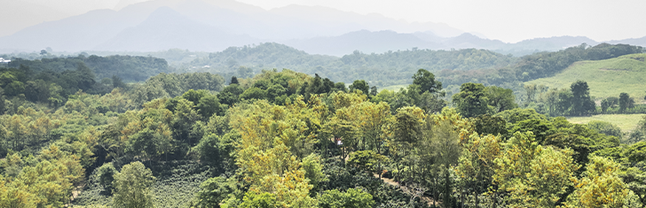 Sembrando el mañana: ¿Qué es la agricultura sostenible y cómo la hacemos realidad?